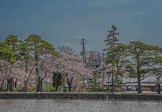 高田城の見どころ6