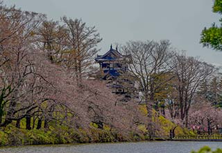 高田城の見どころ9