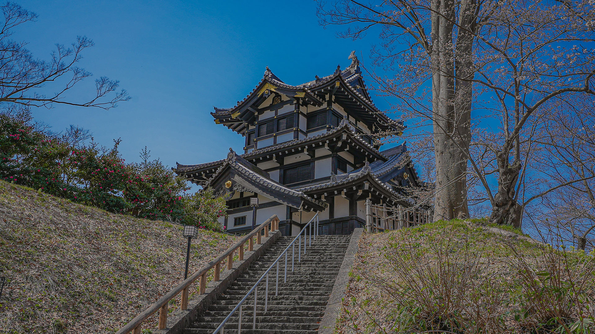 春の高田城16