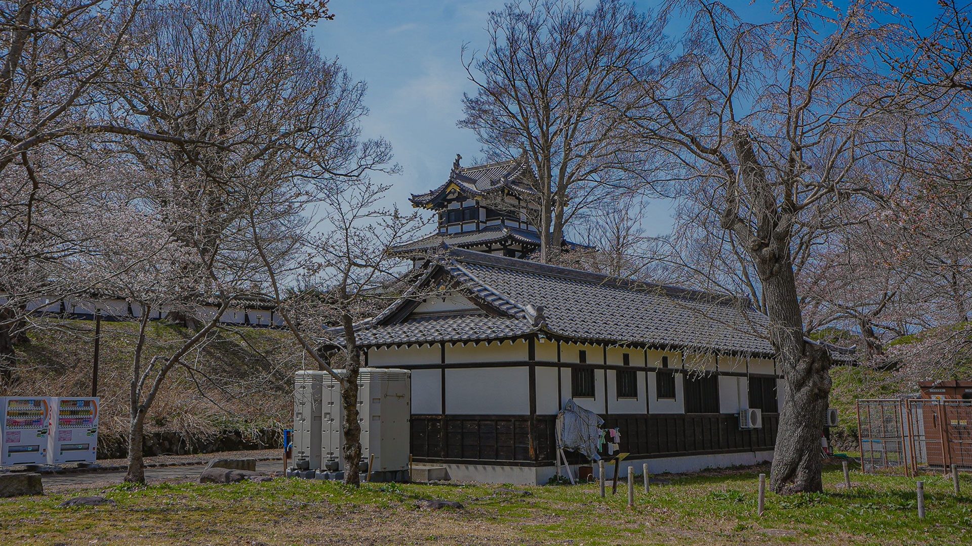 春の高田城19