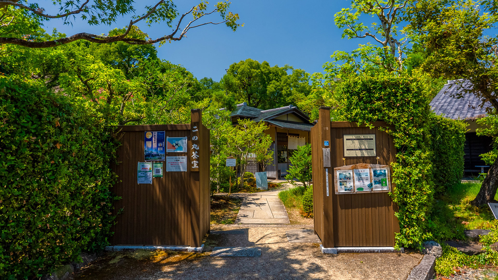 掛川茶3