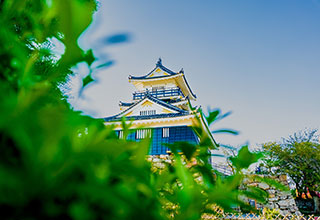 浜松城の見どころ2