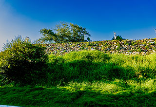 浜松城の見どころ4