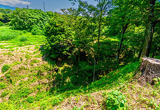 興国寺城の見どころ4
