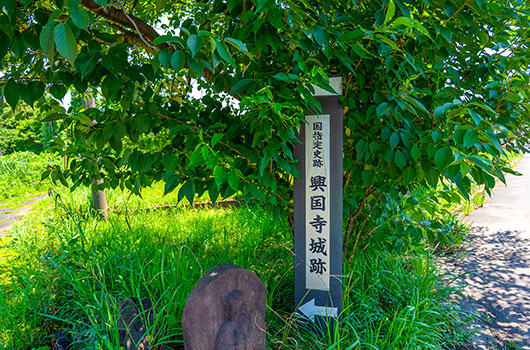 興国寺城