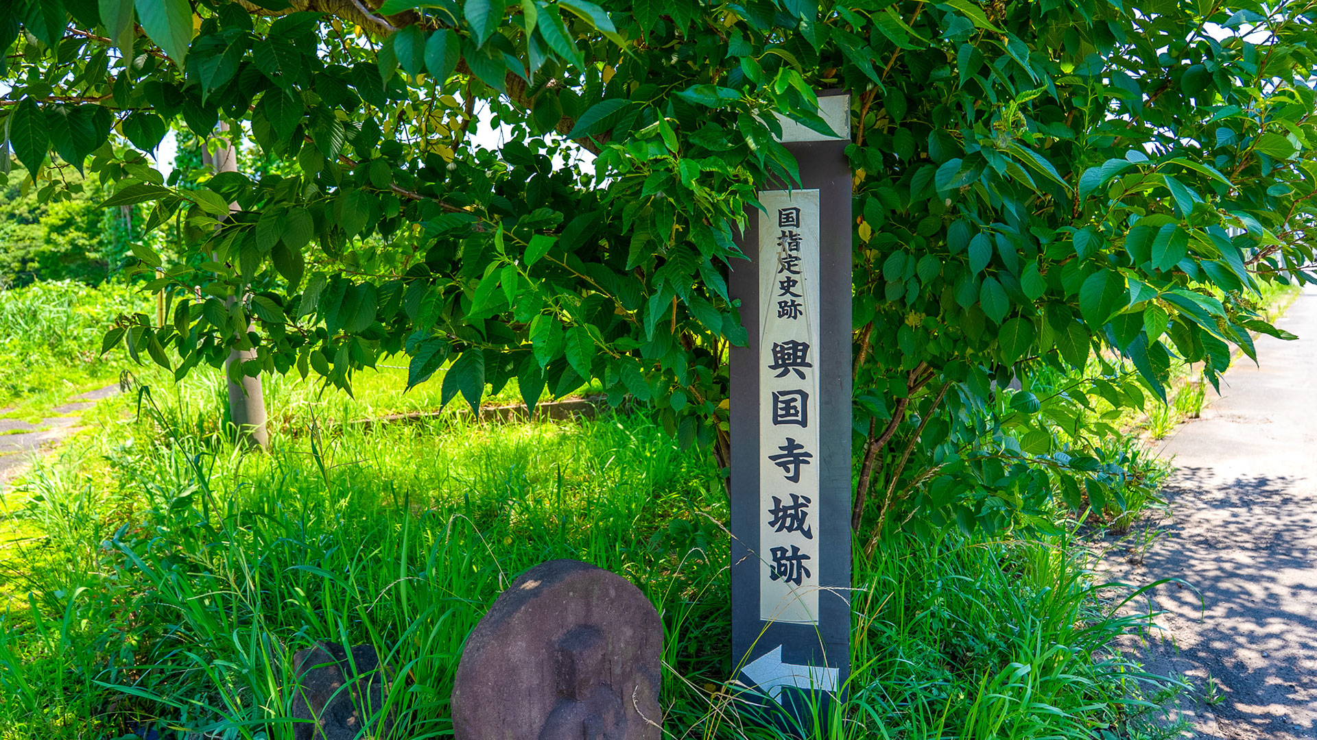 興国寺城