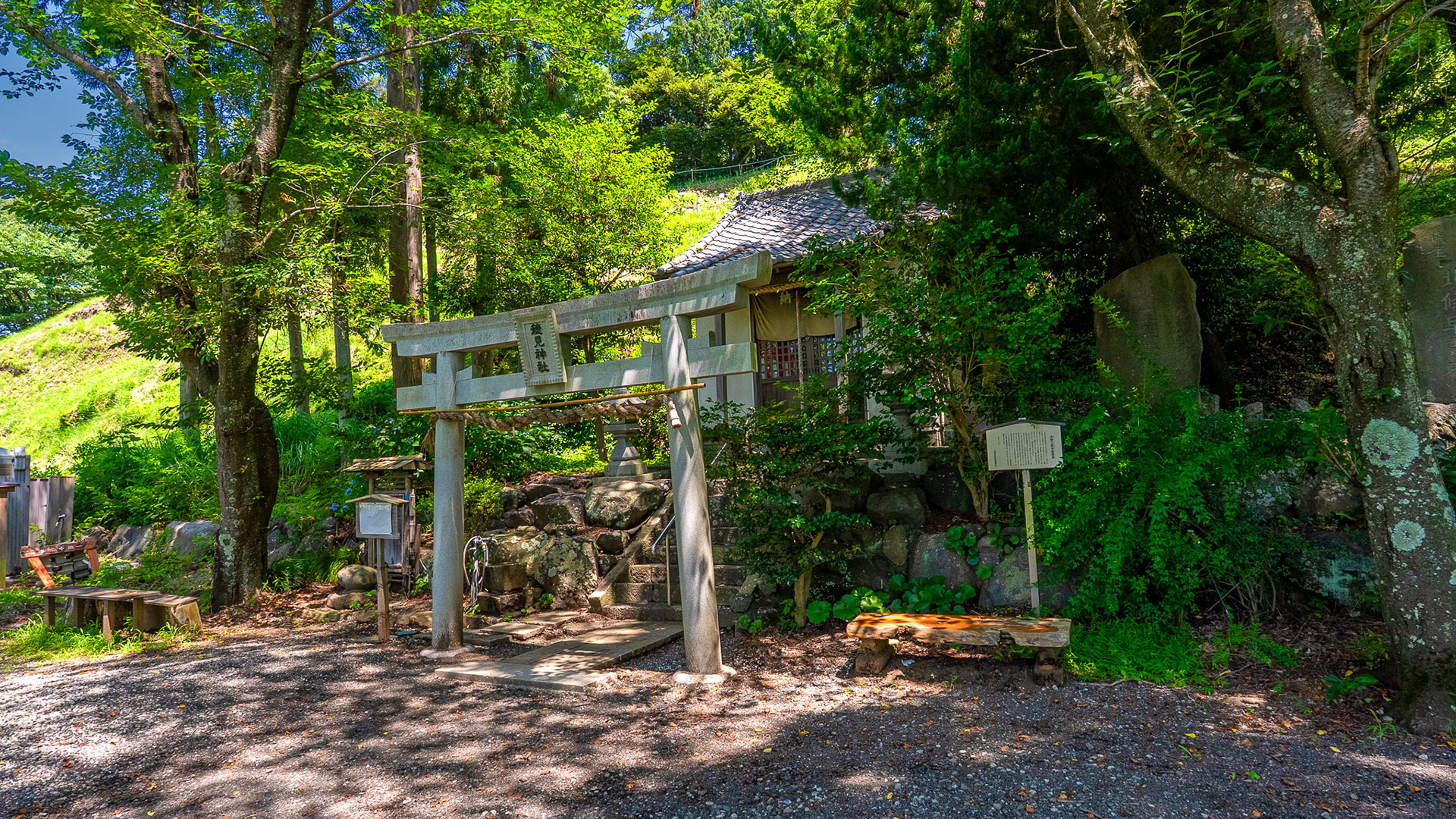 夏の興国寺城2