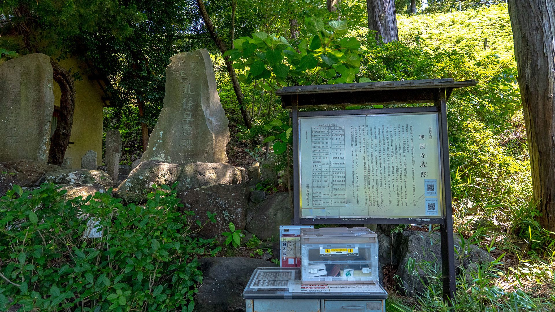 夏の興国寺城3