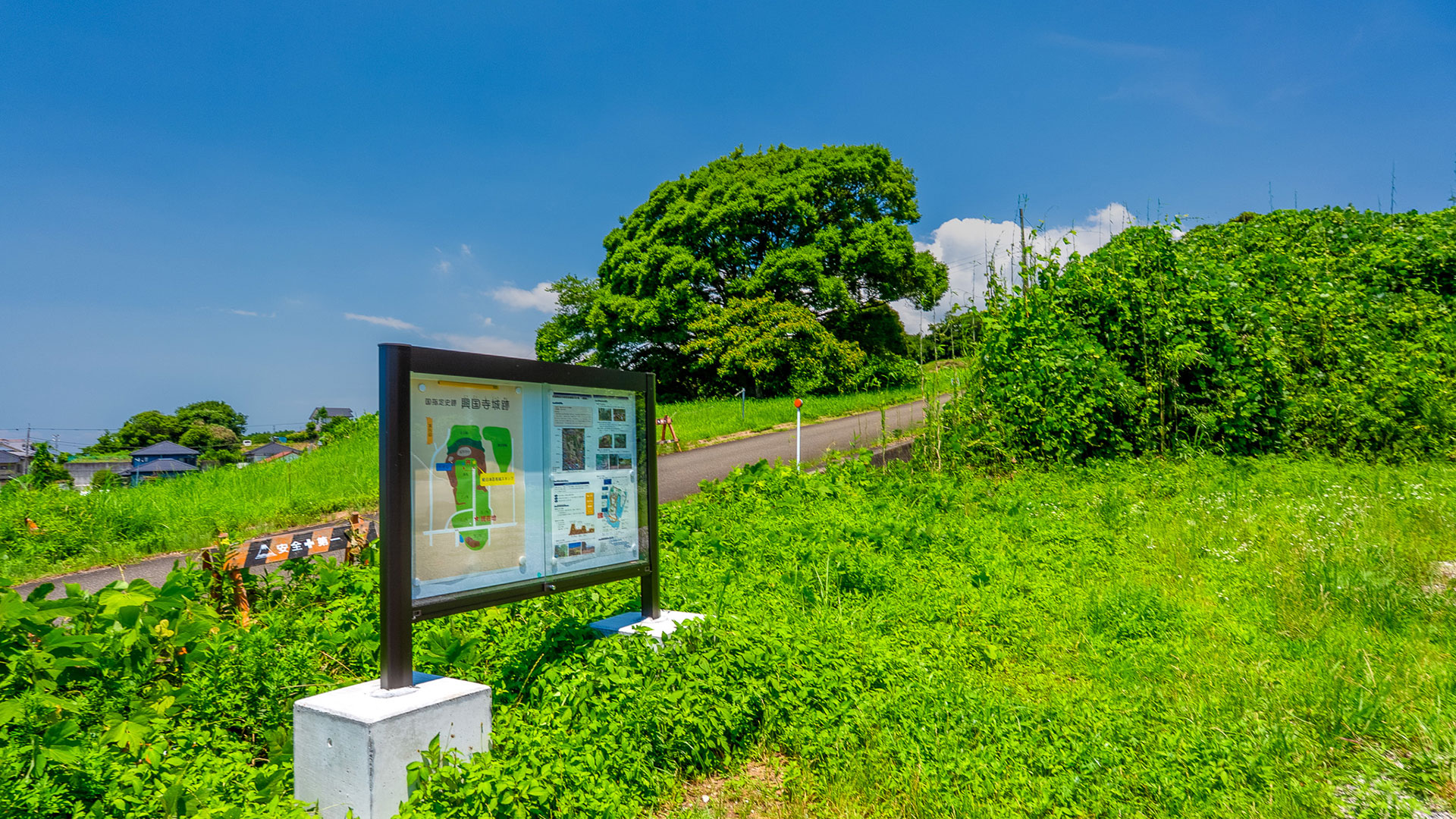 夏の興国寺城6