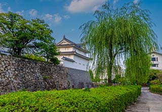 駿府城の見どころ1