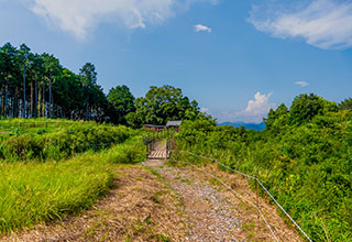 諏訪原城跡の見どころ2