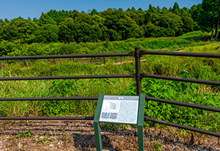 諏訪原城跡の見どころ3