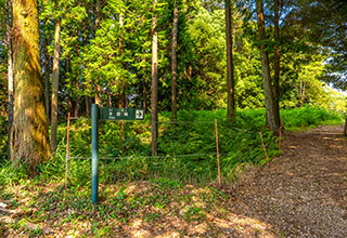 諏訪原城跡の見どころ4