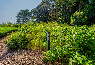 諏訪原城跡の見どころ5