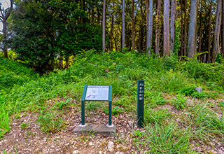 諏訪原城跡の見どころ6