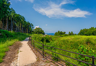 諏訪原城跡の見どころ8