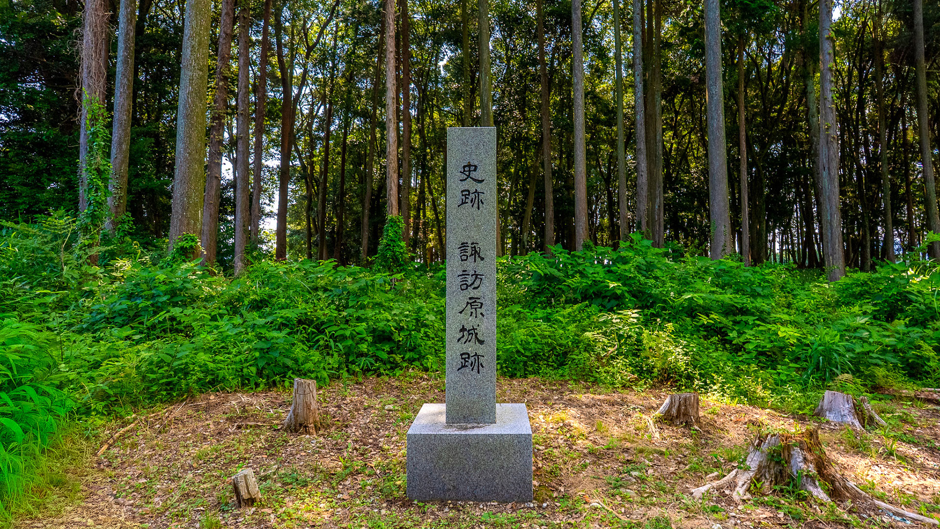 諏訪原城跡