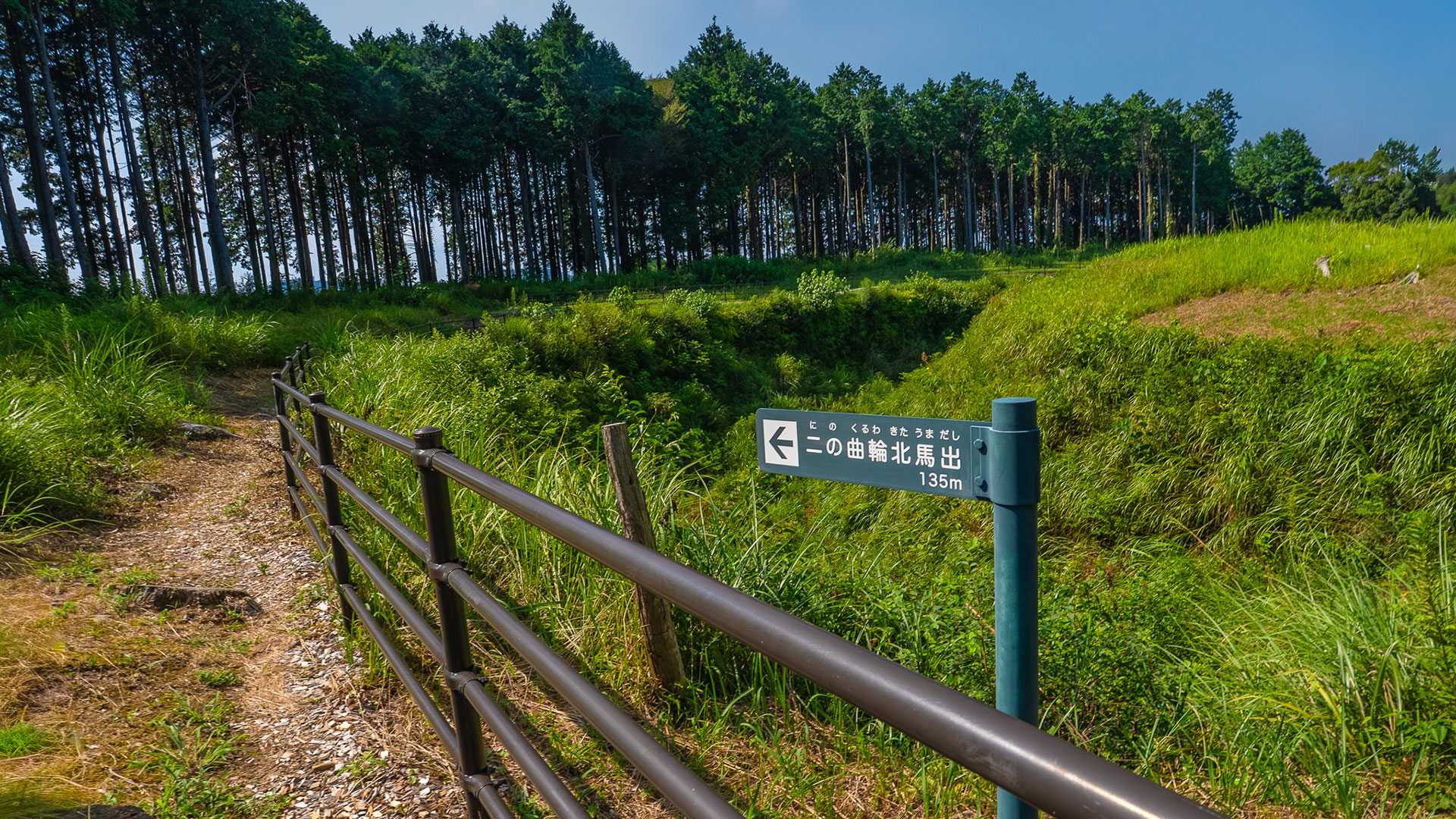 夏の諏訪原城跡4