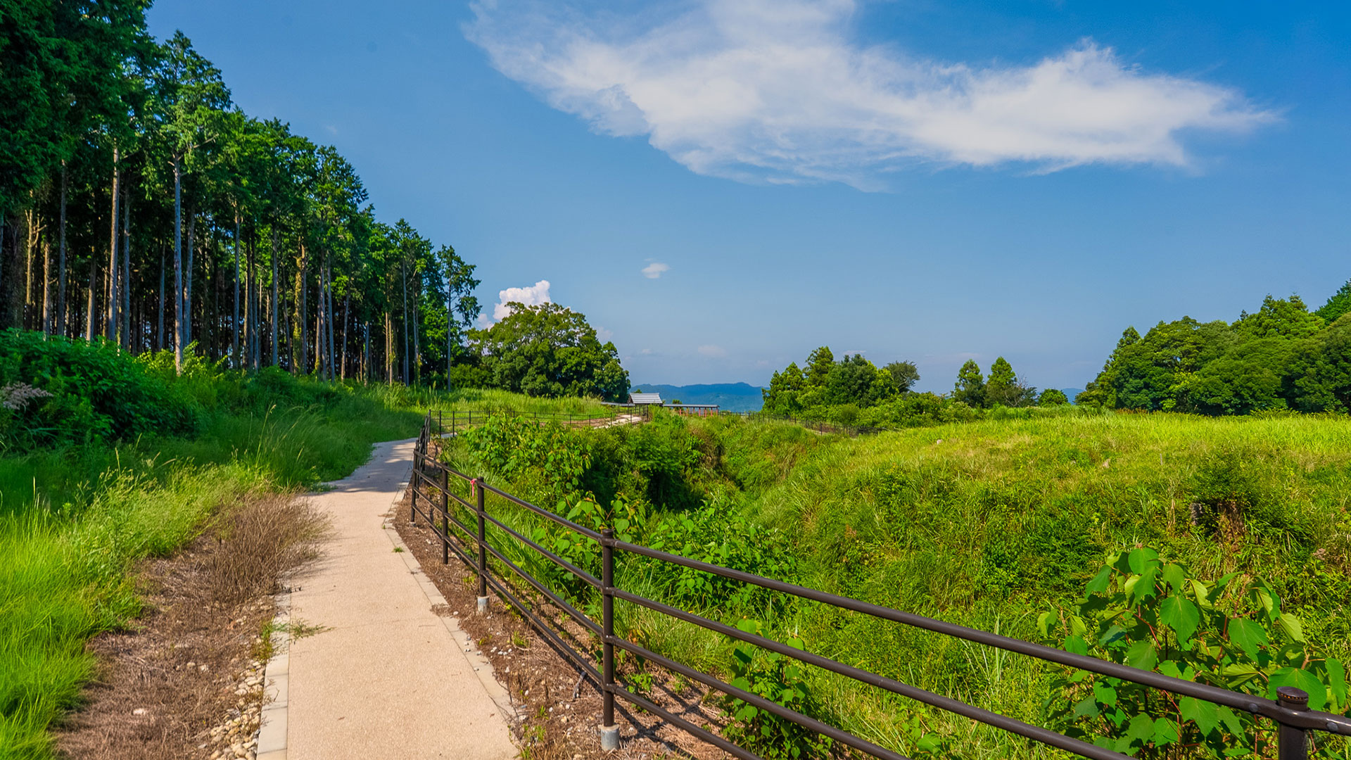 夏の諏訪原城跡5