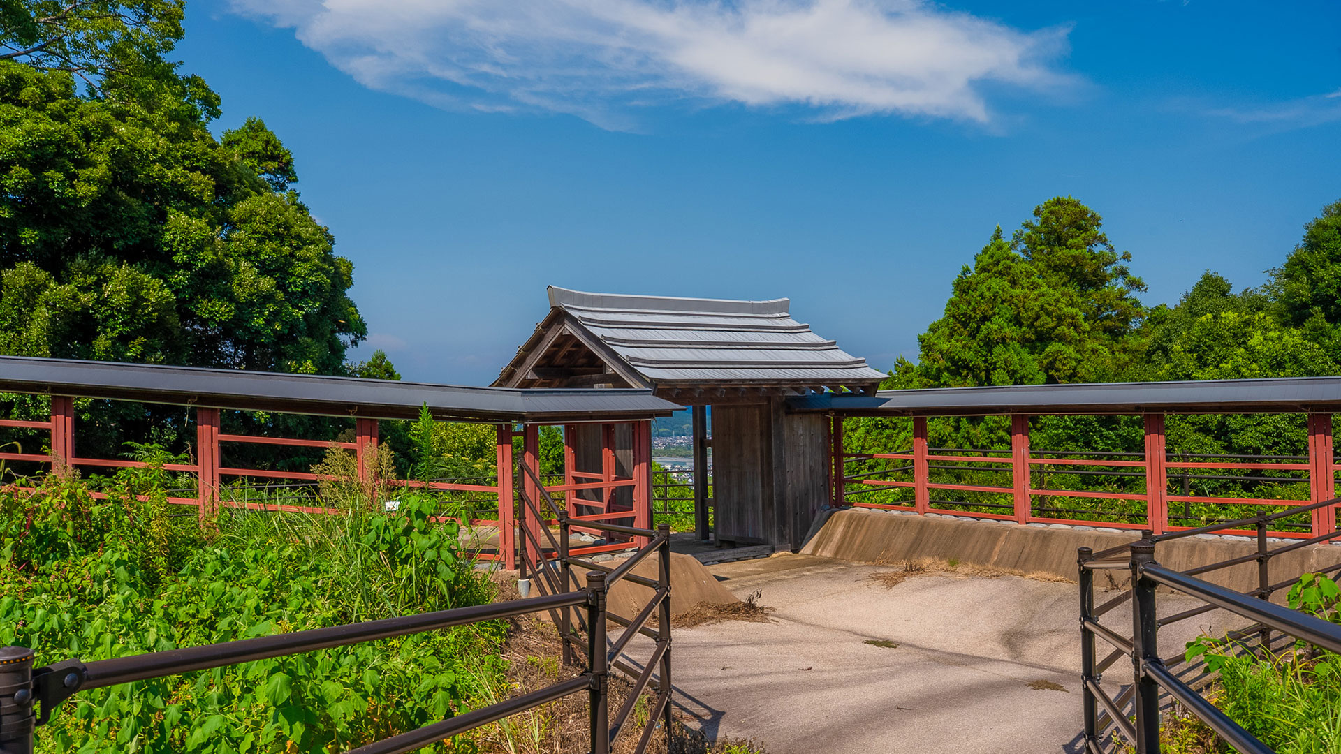 夏の諏訪原城跡6
