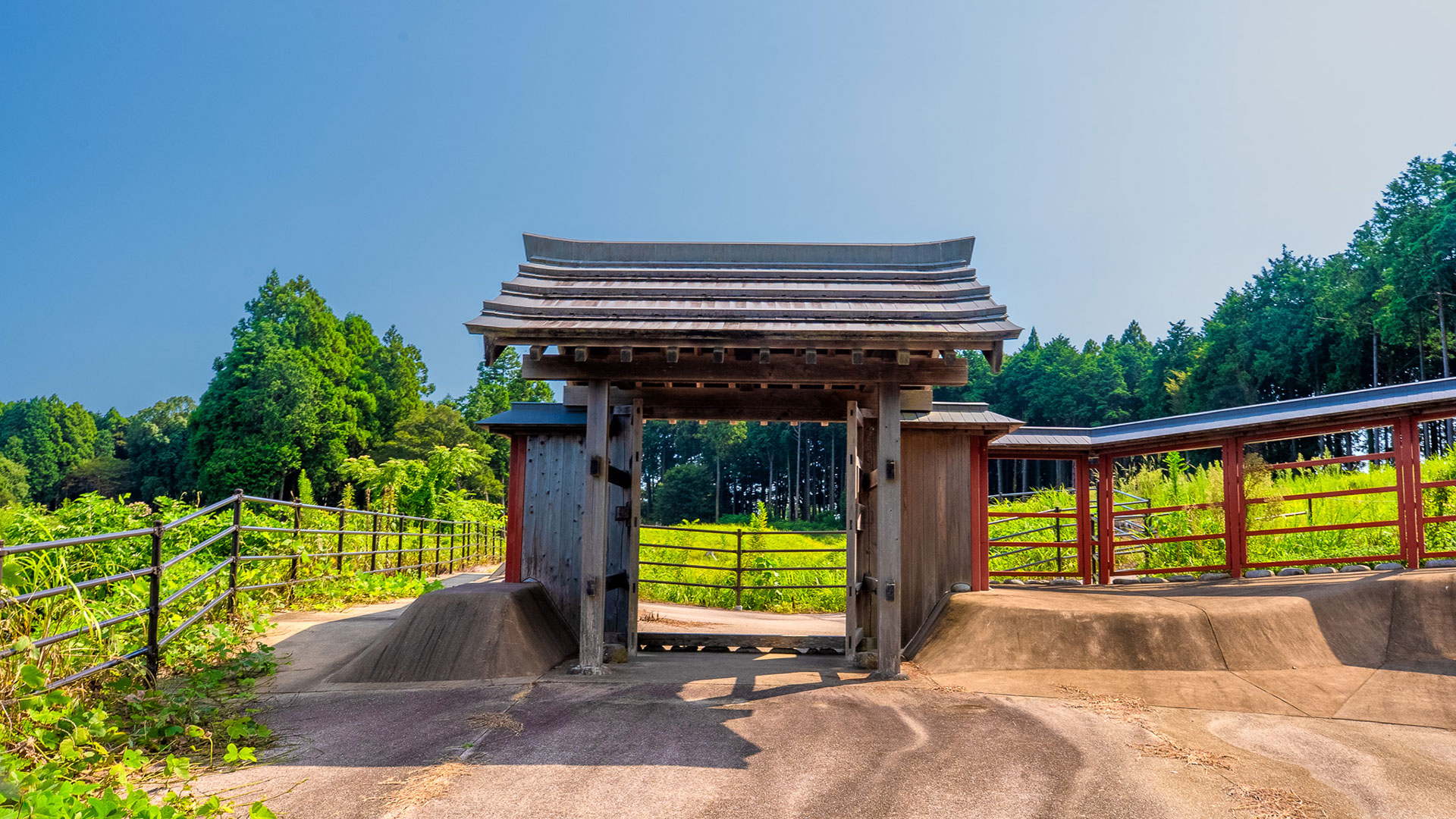 夏の諏訪原城跡7