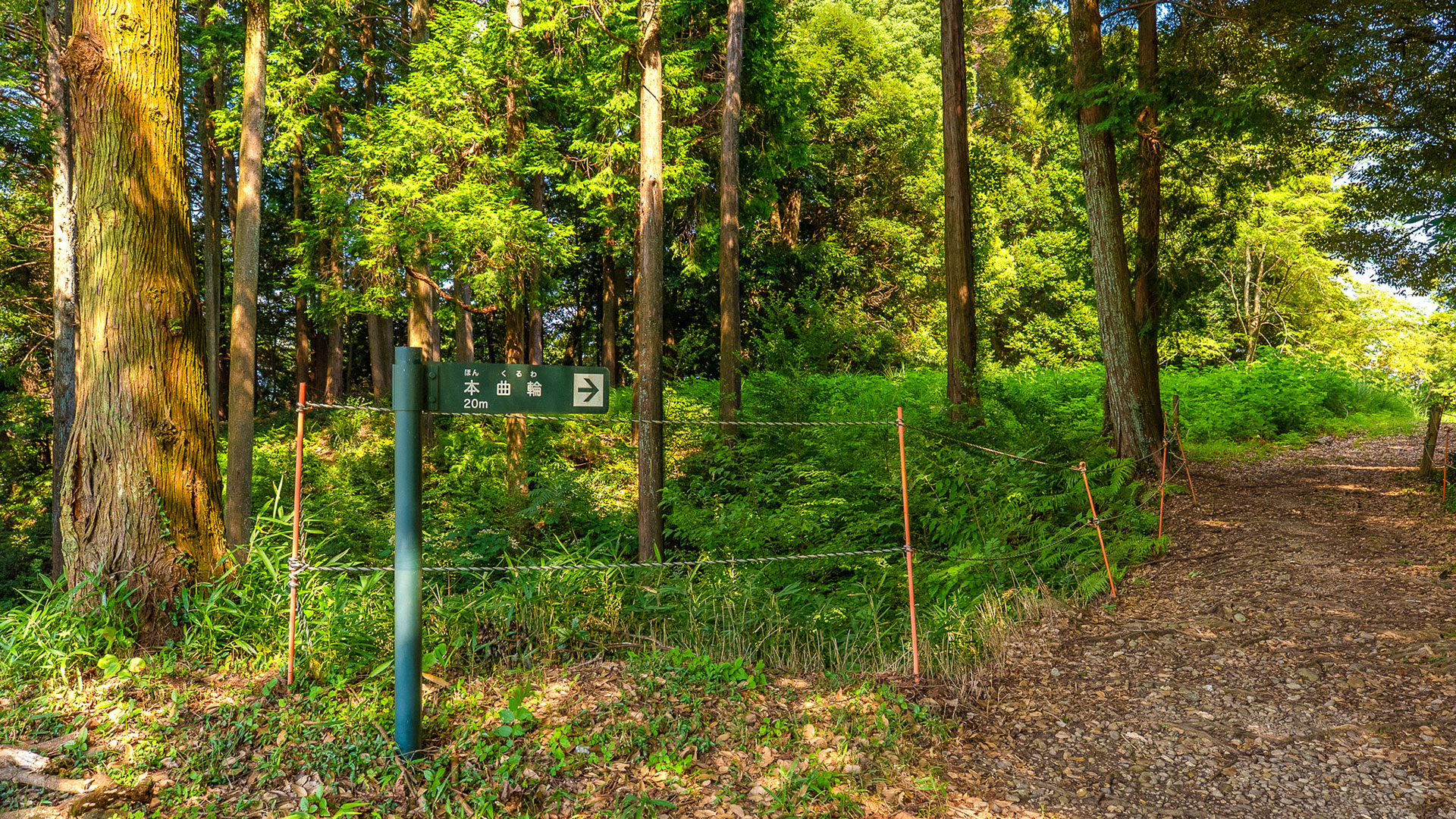 夏の諏訪原城跡8