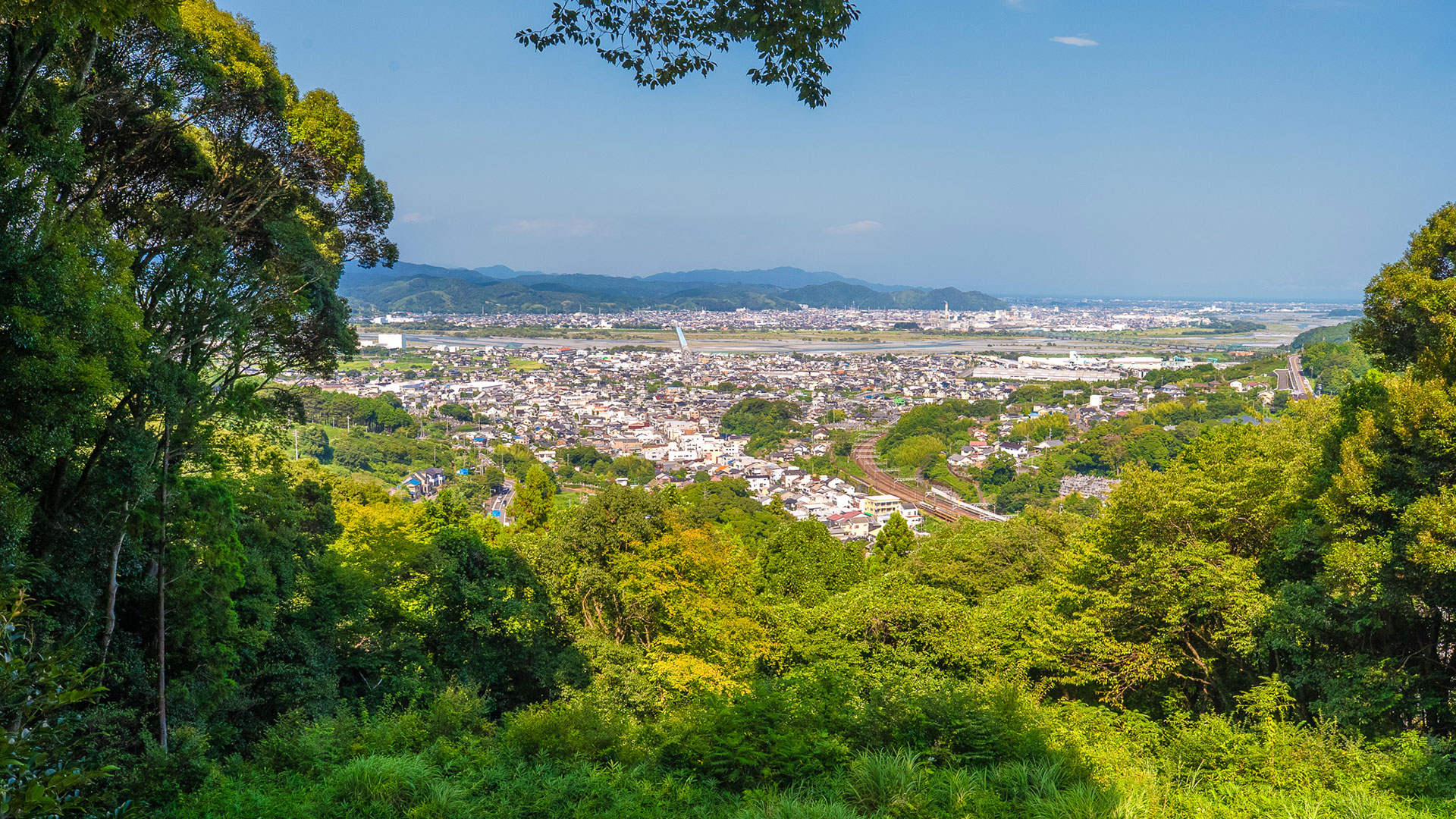 夏の諏訪原城跡10