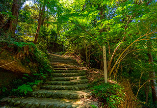 高天神城跡の見どころ3