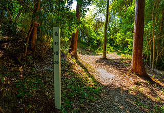 高天神城跡の見どころ5