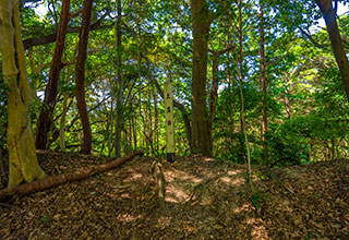 高天神城跡の見どころ6