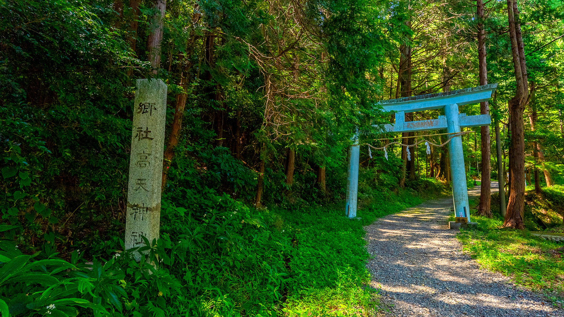 夏の高天神城跡2