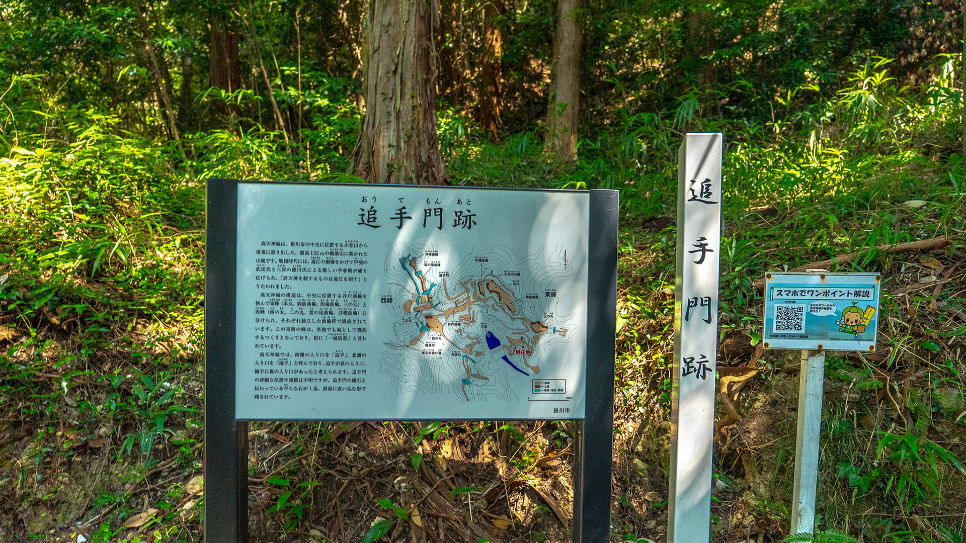 夏の高天神城跡3