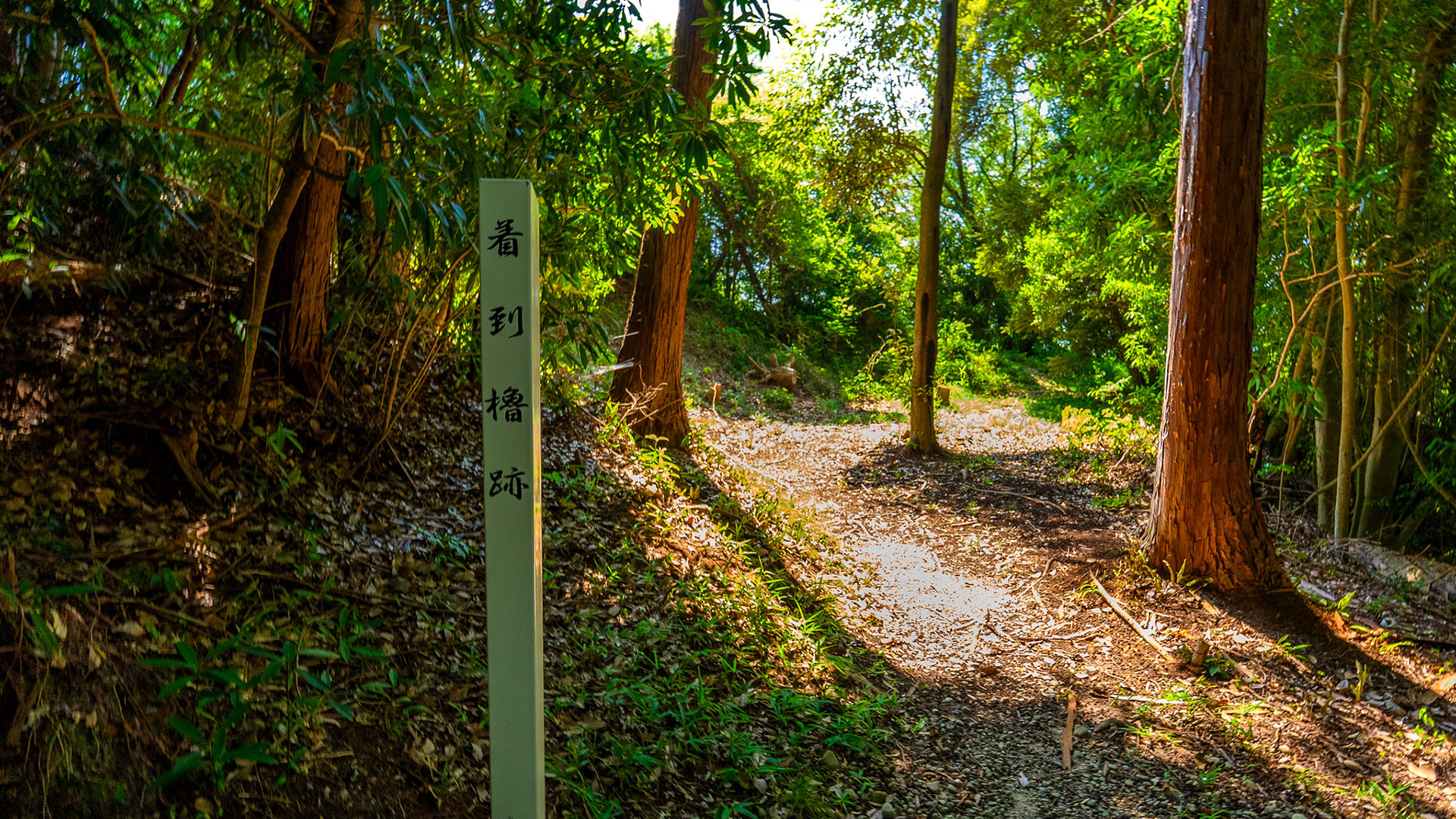 夏の高天神城跡4