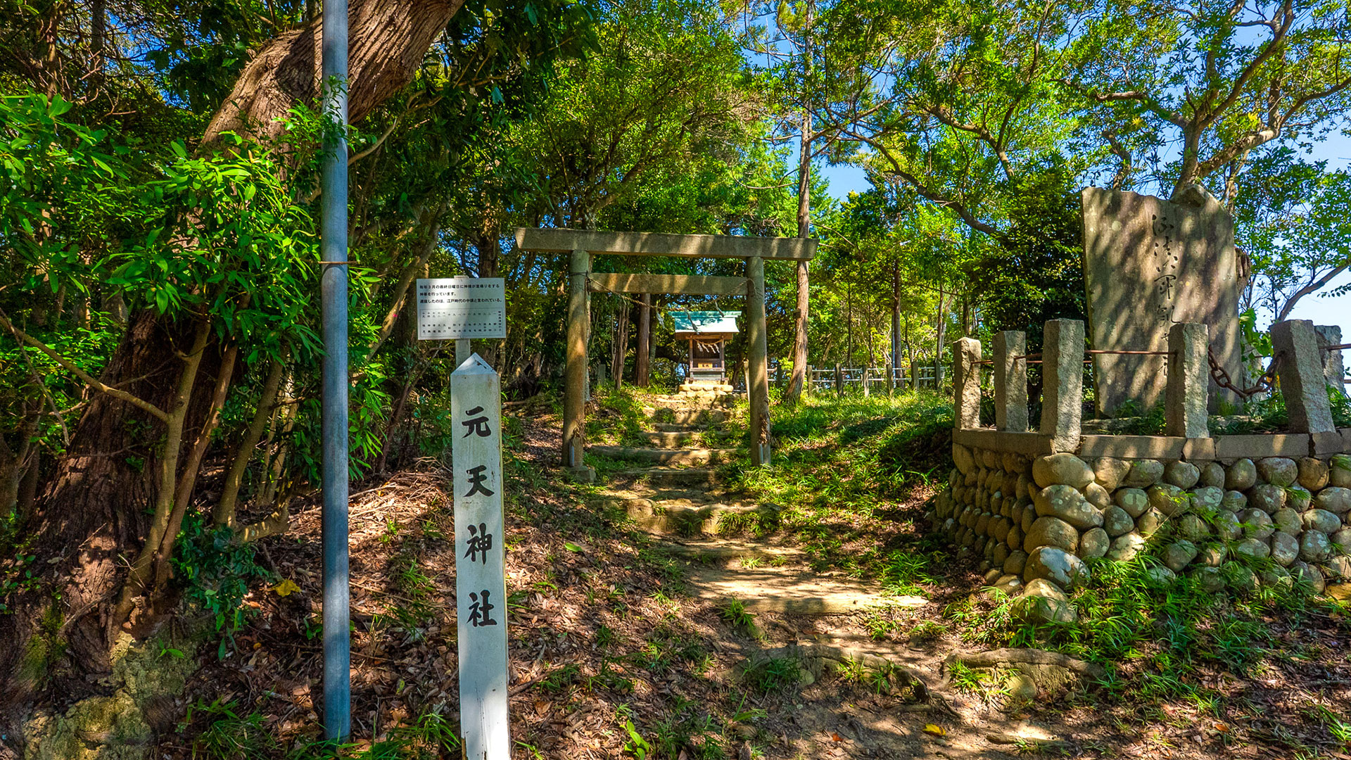 夏の高天神城跡6