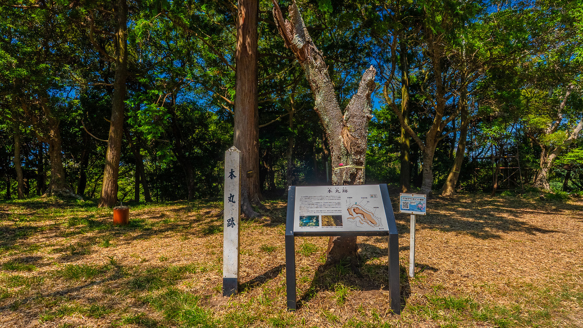 夏の高天神城跡8