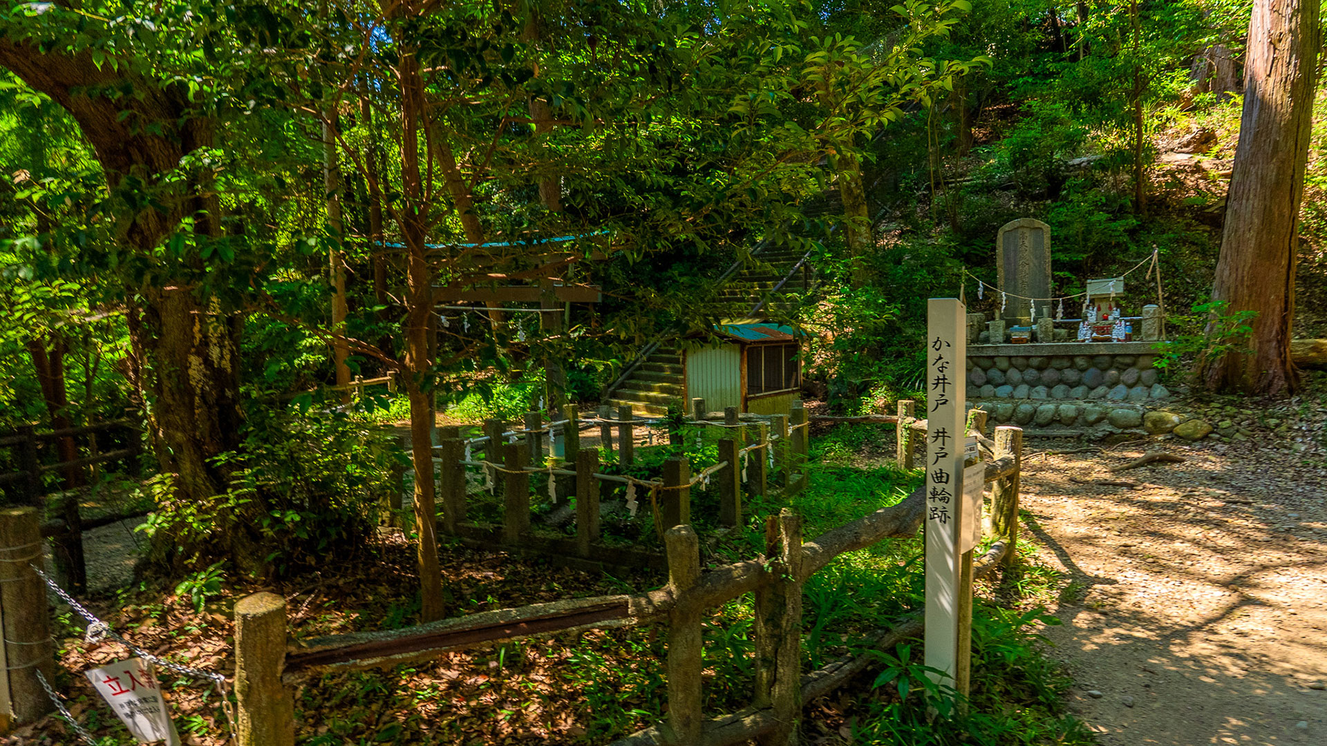 夏の高天神城跡9