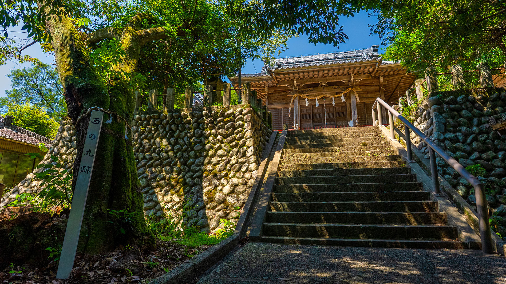 夏の高天神城跡10