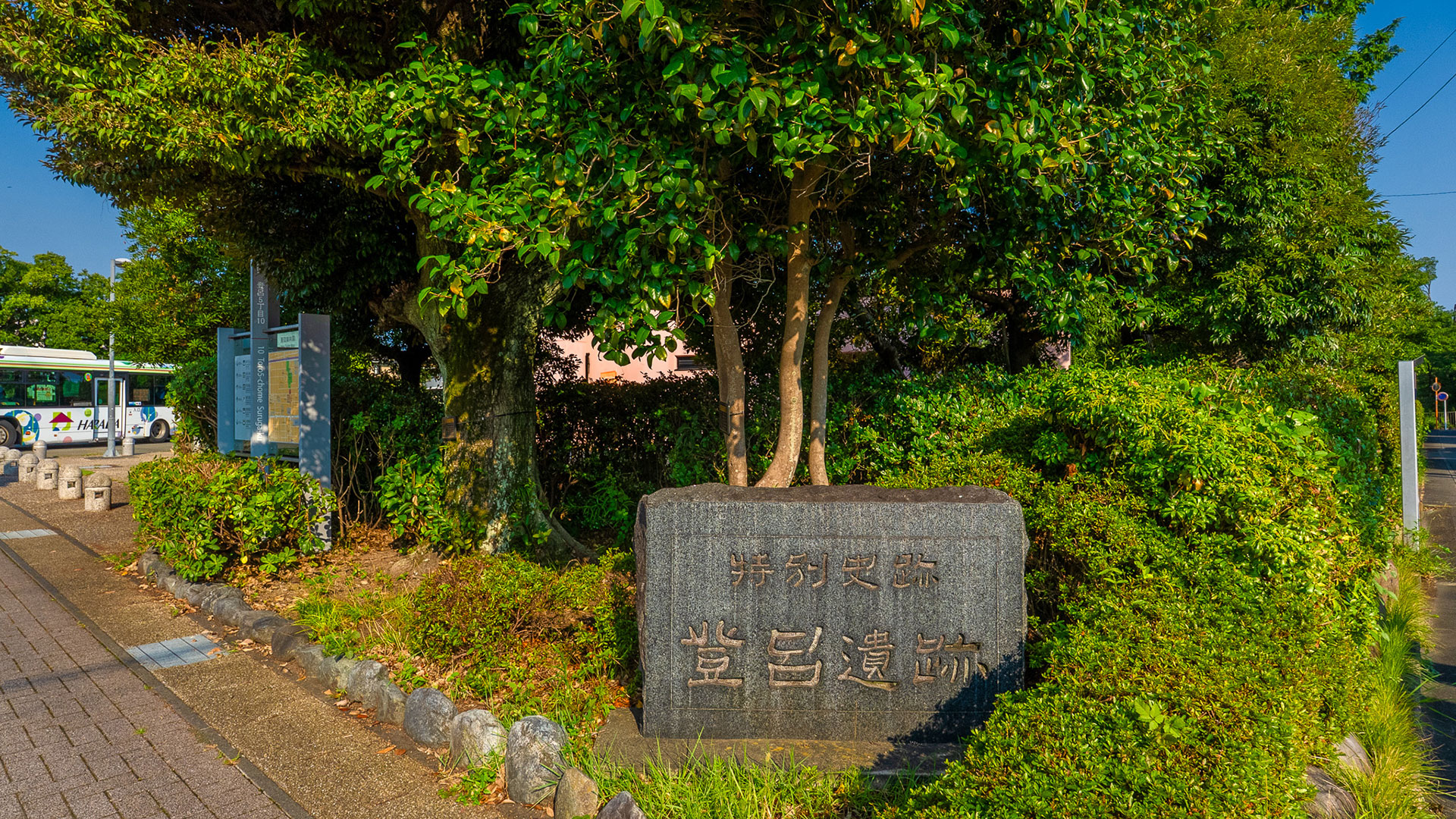 夏の登呂遺跡2