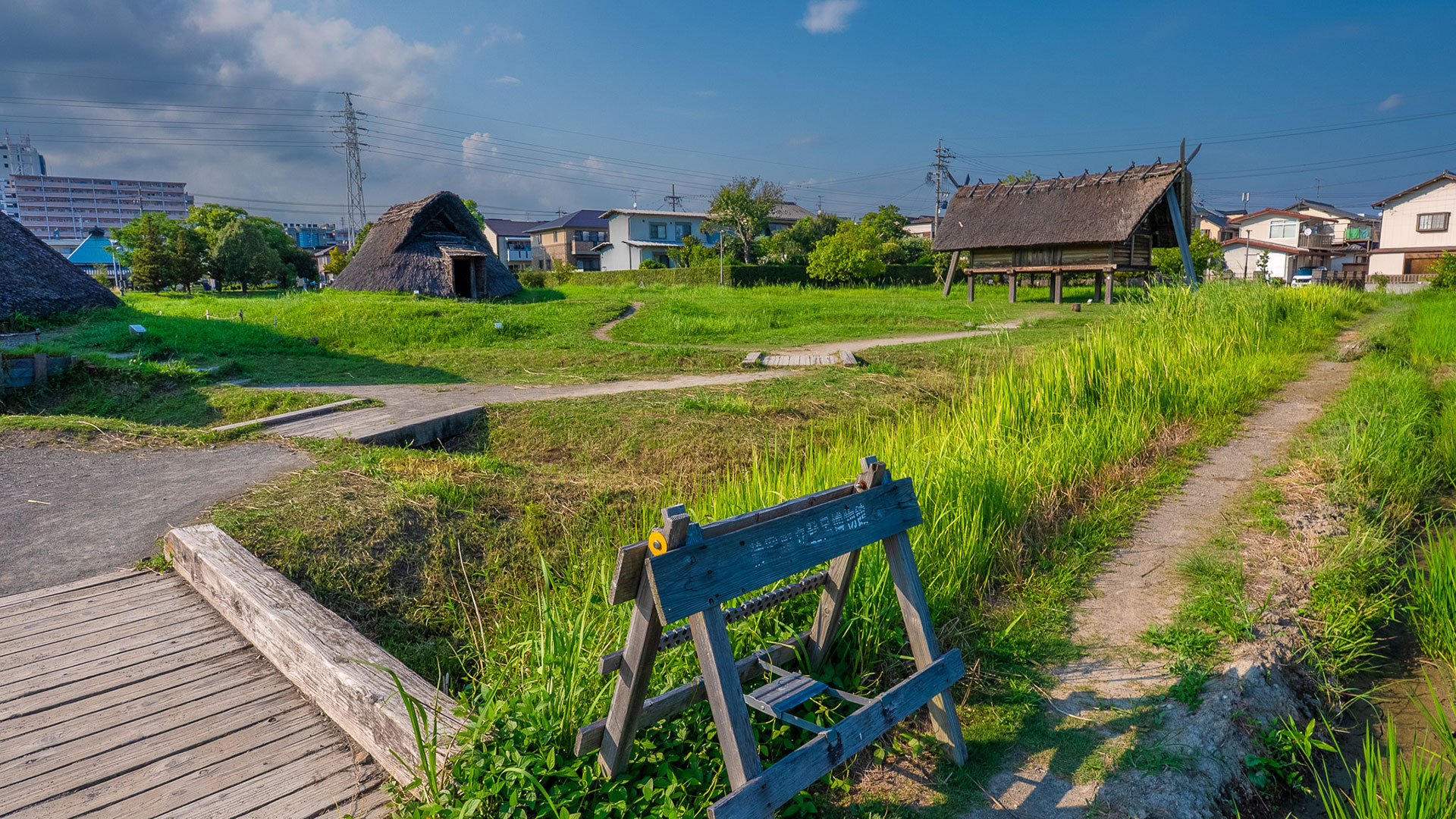夏の登呂遺跡5