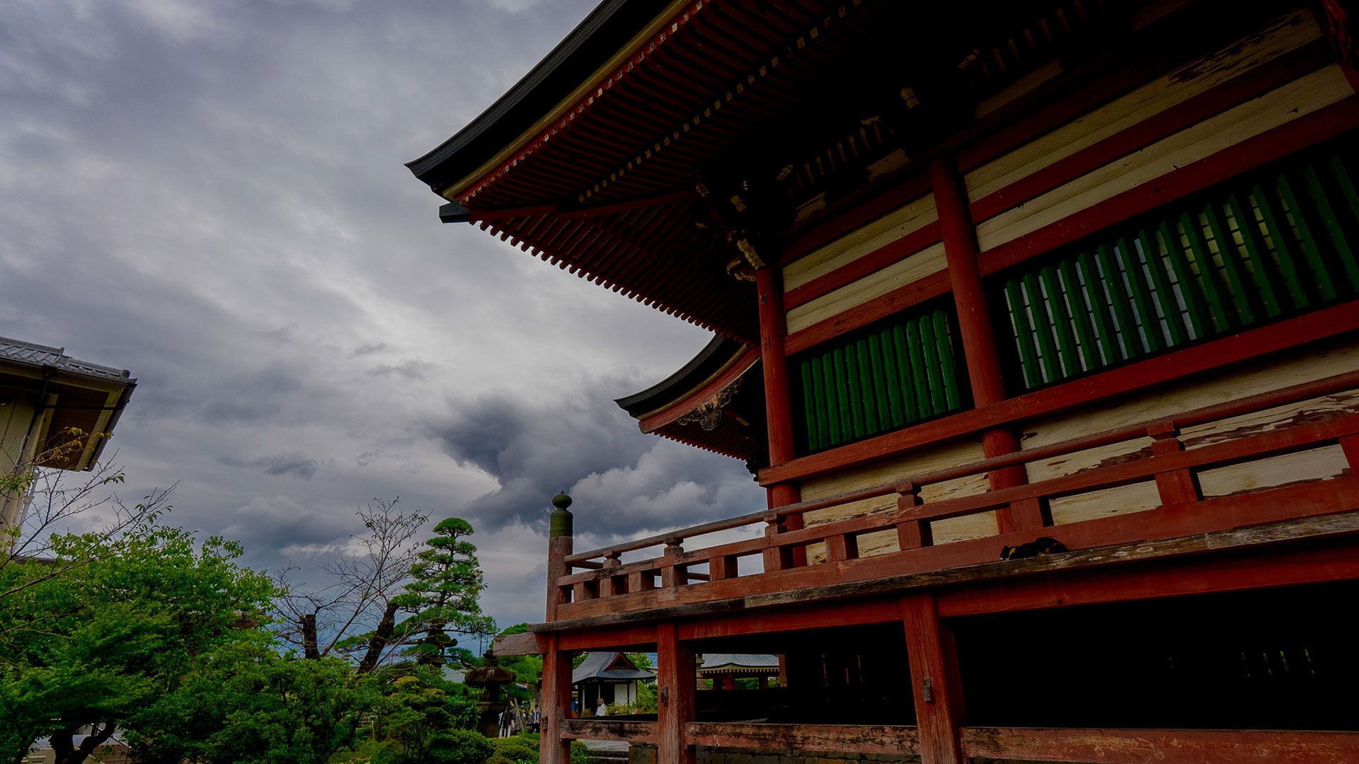 夏の甲斐善光寺7