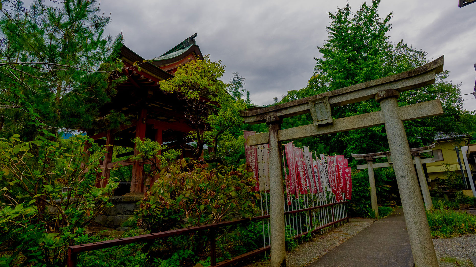 夏の甲斐善光寺8