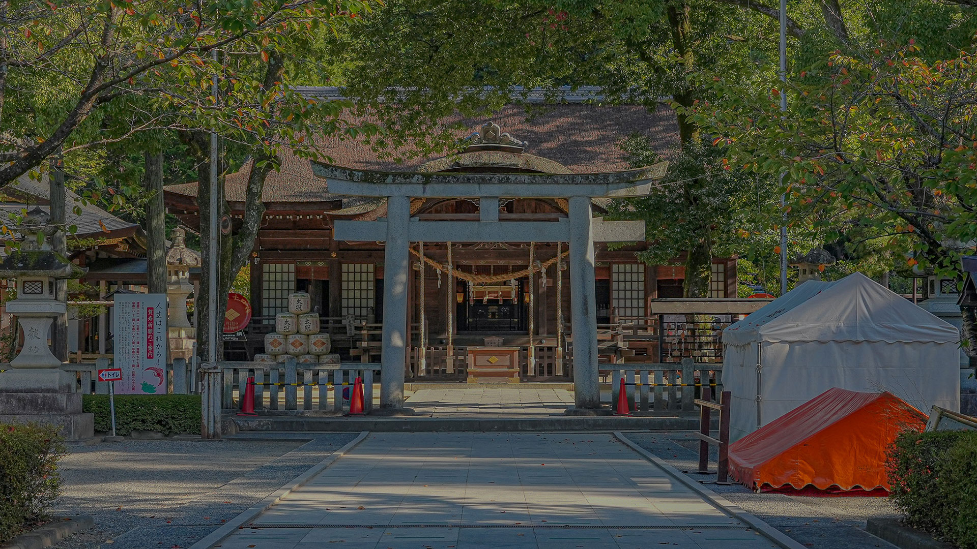 秋の躑躅ヶ崎館5