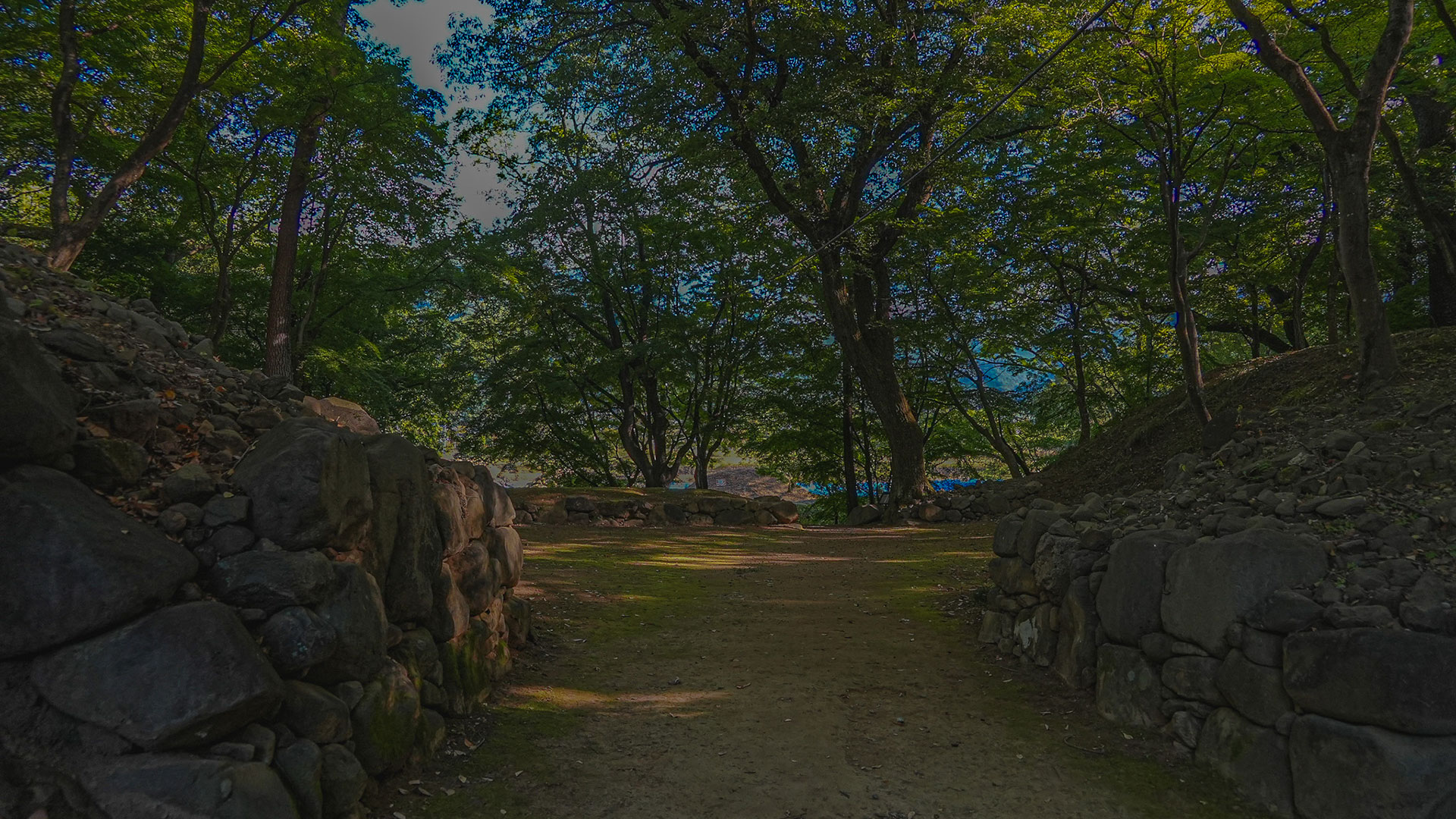 秋の躑躅ヶ崎館8