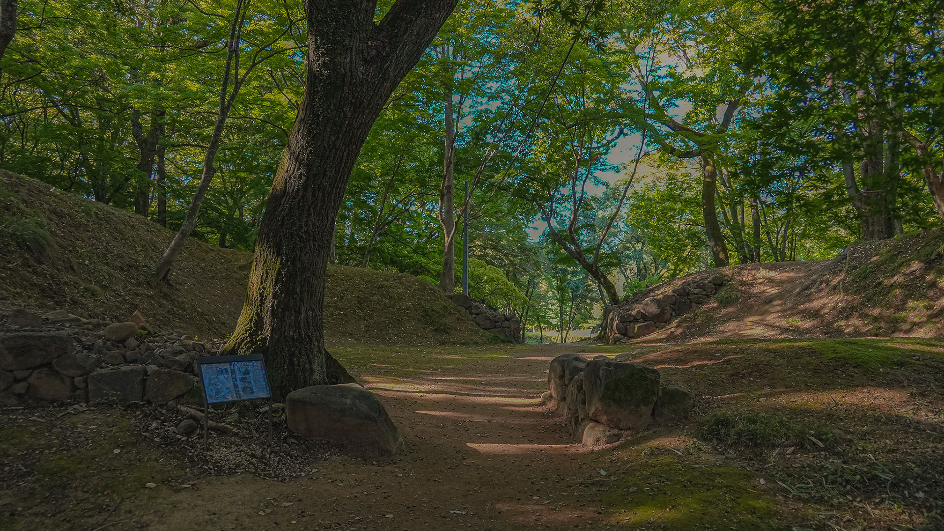 秋の躑躅ヶ崎館9