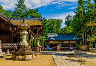 躑躅ヶ崎館の見どころ3