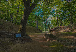 躑躅ヶ崎館の見どころ4