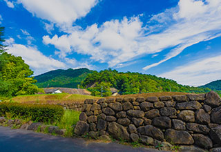 躑躅ヶ崎館の見どころ5