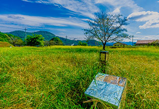 躑躅ヶ崎館の見どころ6