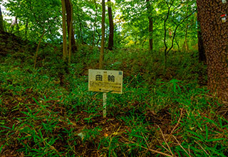 躑躅ヶ崎館の見どころ9