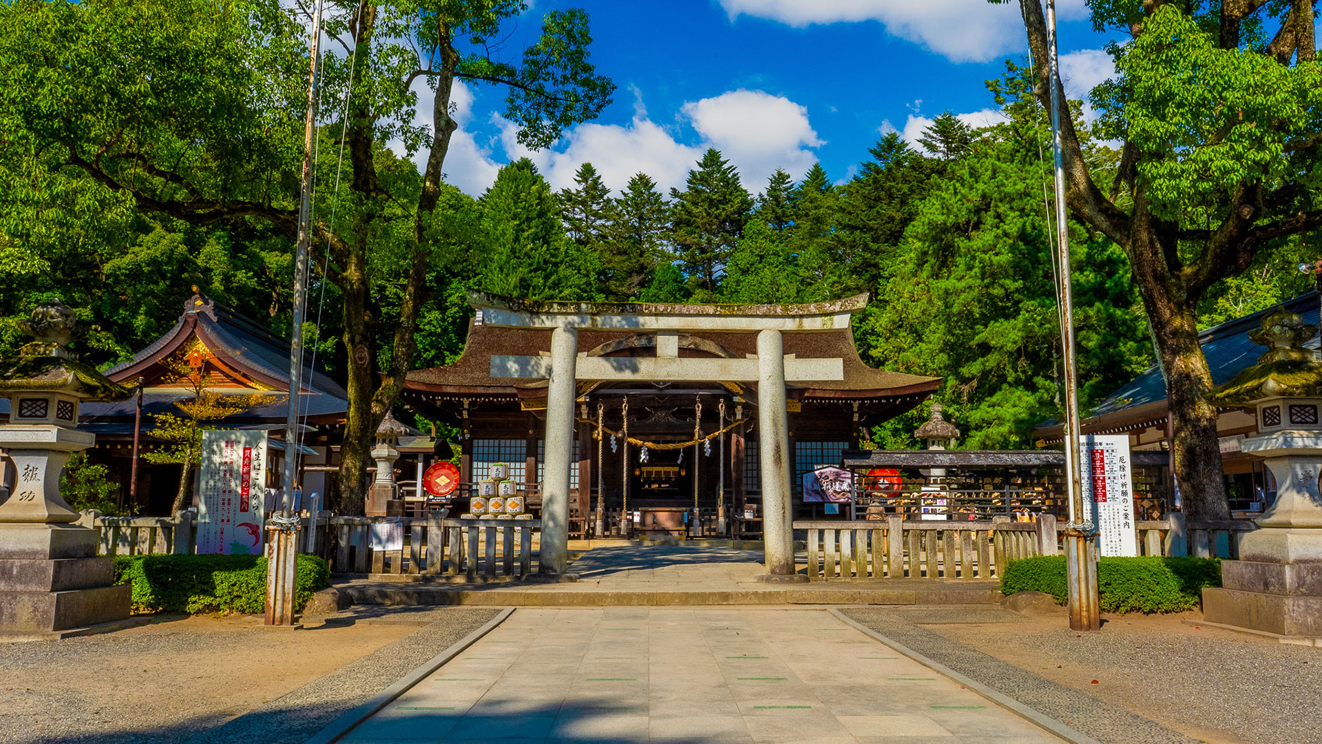 夏の躑躅ヶ崎館2